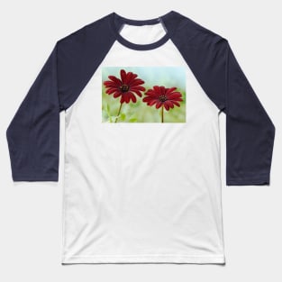 Osteospermum  Serenity Red African daisy Baseball T-Shirt